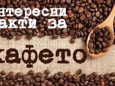 Най-големите страни-консуматори на кафе напитки