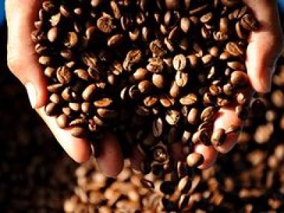 Най-скъпото кафе в света