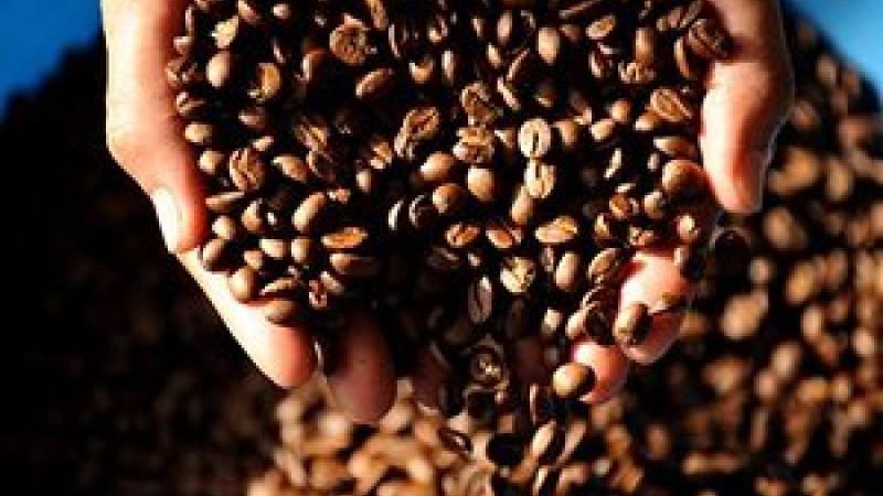 Най-скъпото кафе в света