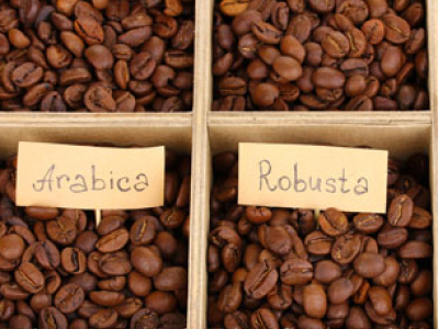 Вкусовите свойства на арабика и робуста