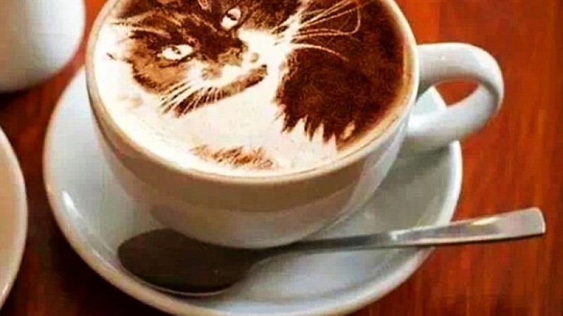 Изкуство в чаша еспресо